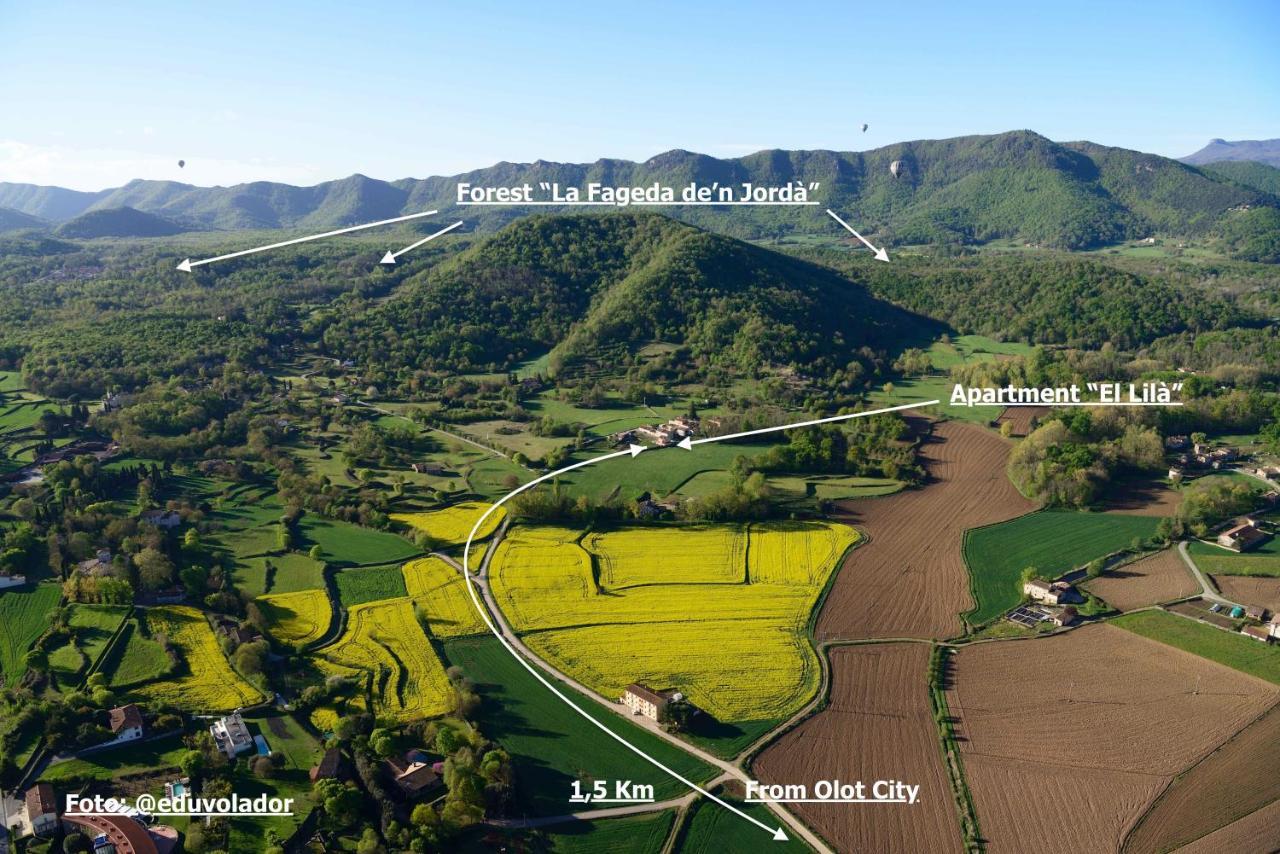 Apartamento El Lilà Olot Esterno foto